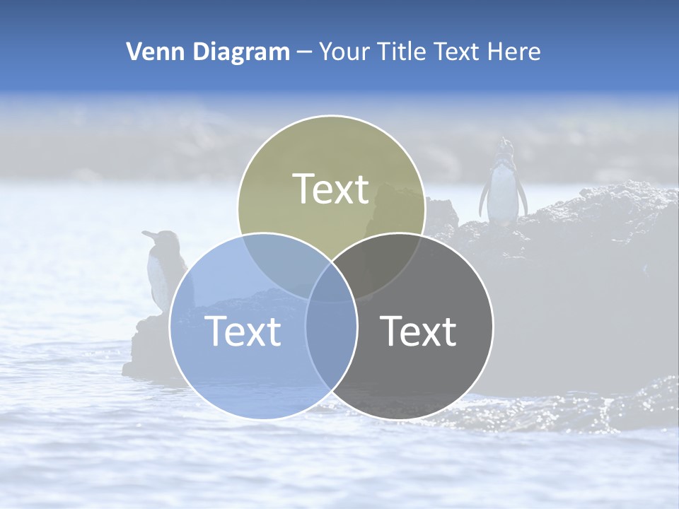 Curiosity Indigenous Bird PowerPoint Template