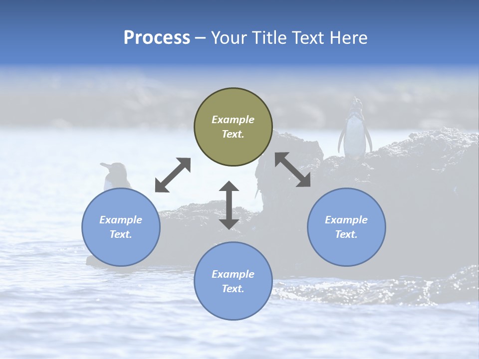 Curiosity Indigenous Bird PowerPoint Template