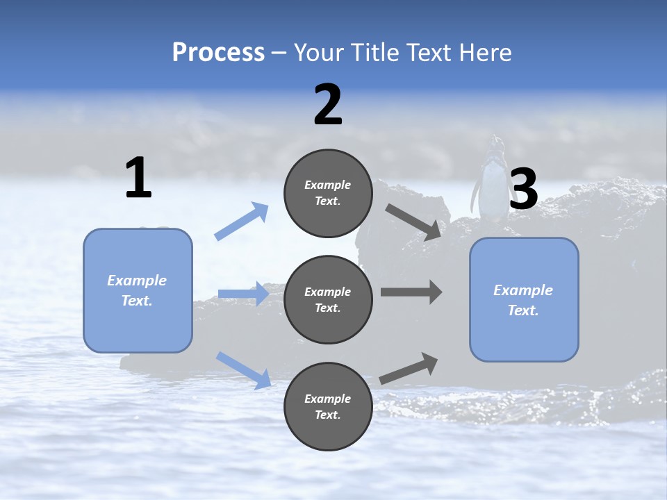 Curiosity Indigenous Bird PowerPoint Template