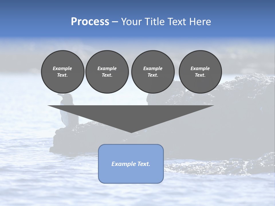 Curiosity Indigenous Bird PowerPoint Template