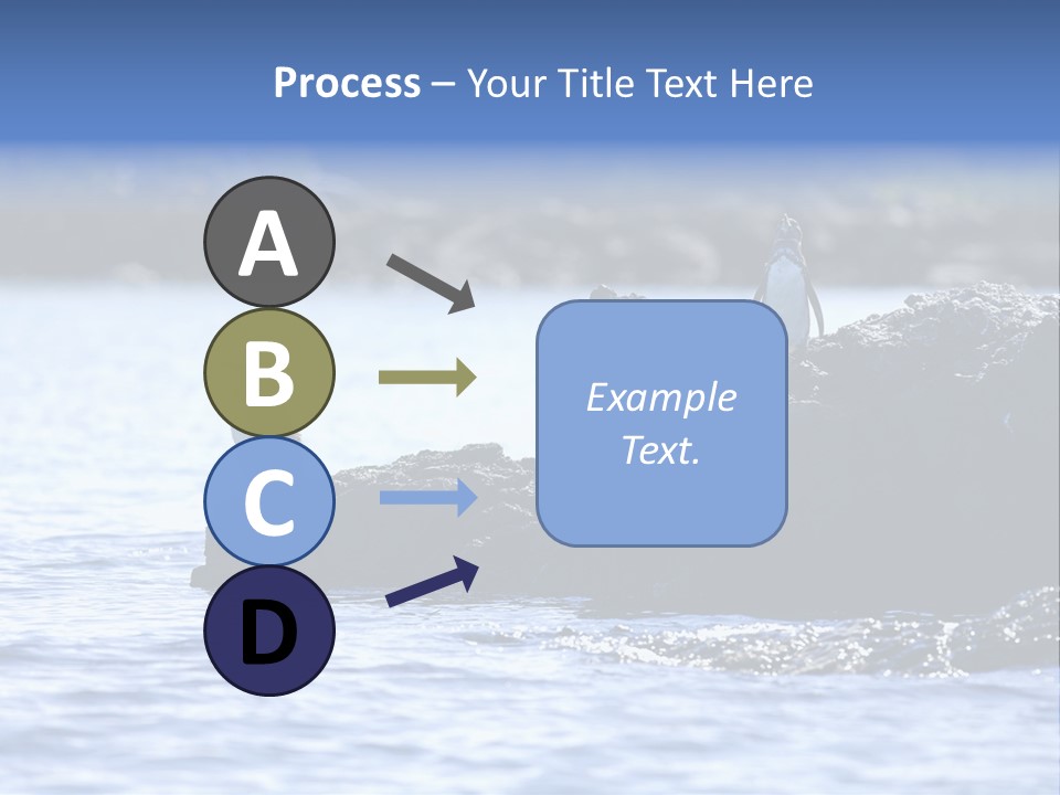 Curiosity Indigenous Bird PowerPoint Template
