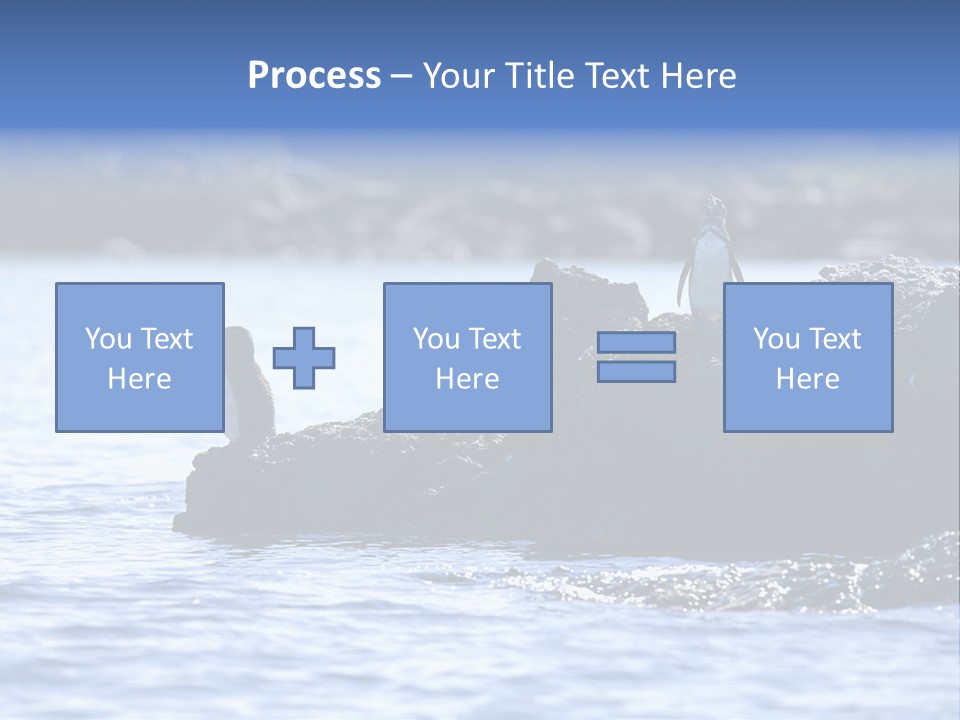 Curiosity Indigenous Bird PowerPoint Template