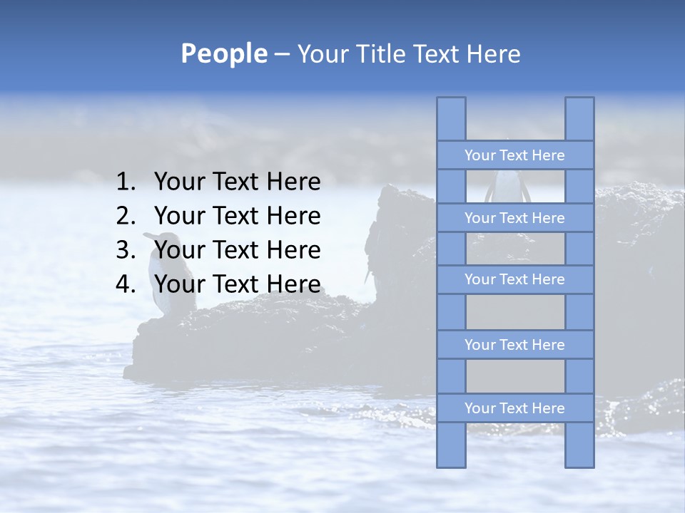 Curiosity Indigenous Bird PowerPoint Template