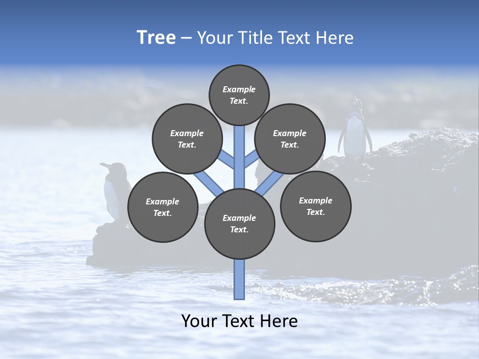 Curiosity Indigenous Bird PowerPoint Template