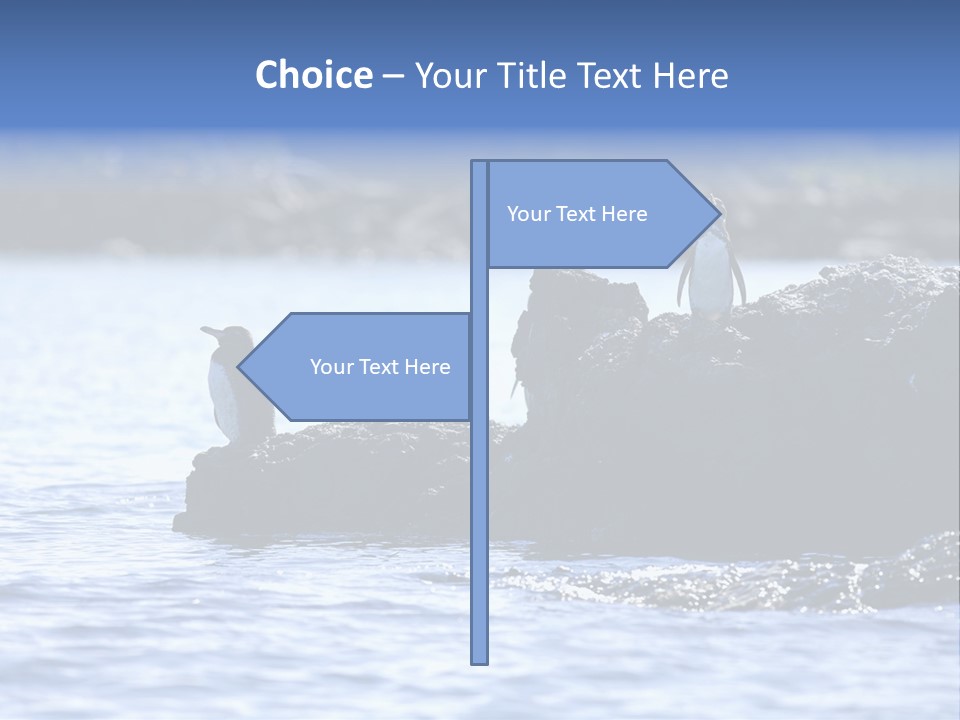 Curiosity Indigenous Bird PowerPoint Template