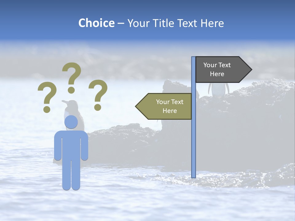 Curiosity Indigenous Bird PowerPoint Template