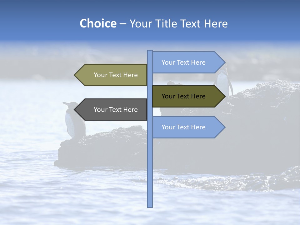 Curiosity Indigenous Bird PowerPoint Template