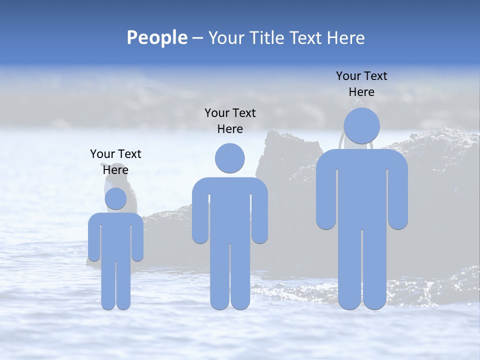 Curiosity Indigenous Bird PowerPoint Template