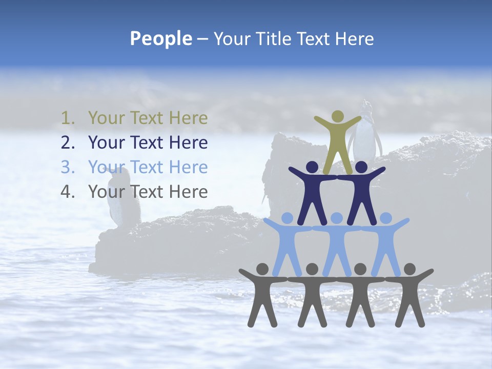 Curiosity Indigenous Bird PowerPoint Template