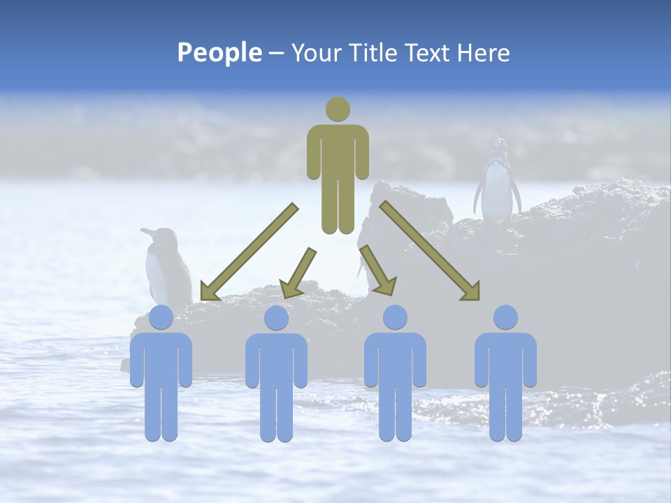 Curiosity Indigenous Bird PowerPoint Template