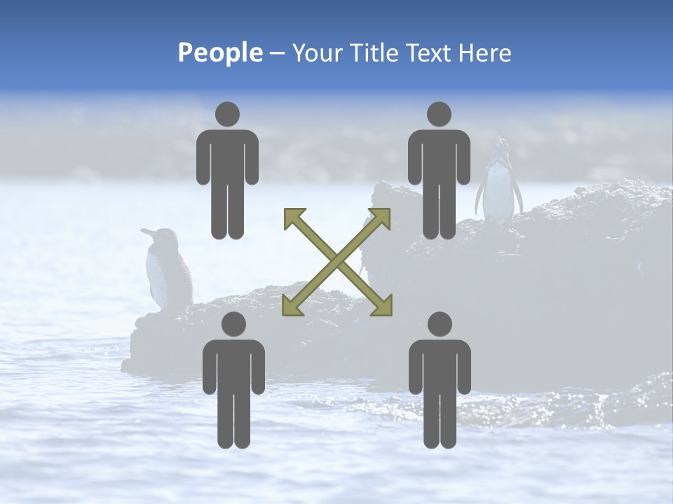 Curiosity Indigenous Bird PowerPoint Template