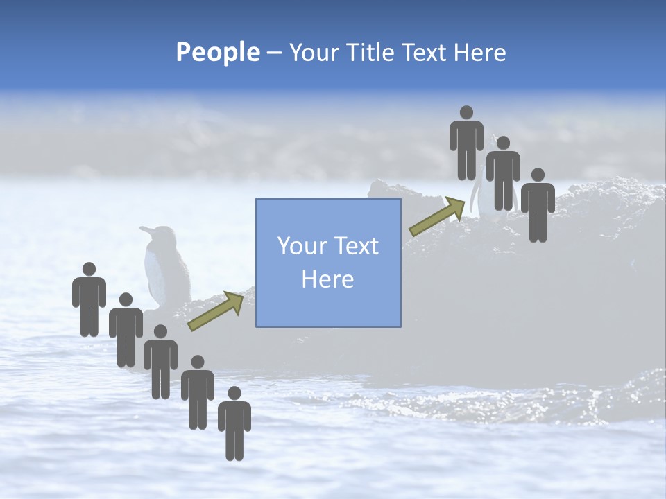 Curiosity Indigenous Bird PowerPoint Template