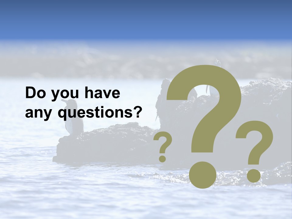 Curiosity Indigenous Bird PowerPoint Template