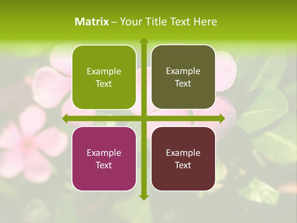 Green Pink Plant PowerPoint Template