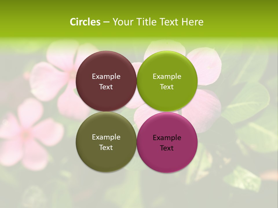 Green Pink Plant PowerPoint Template