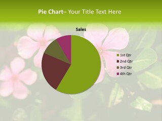 Green Pink Plant PowerPoint Template