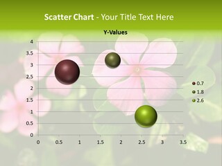 Green Pink Plant PowerPoint Template