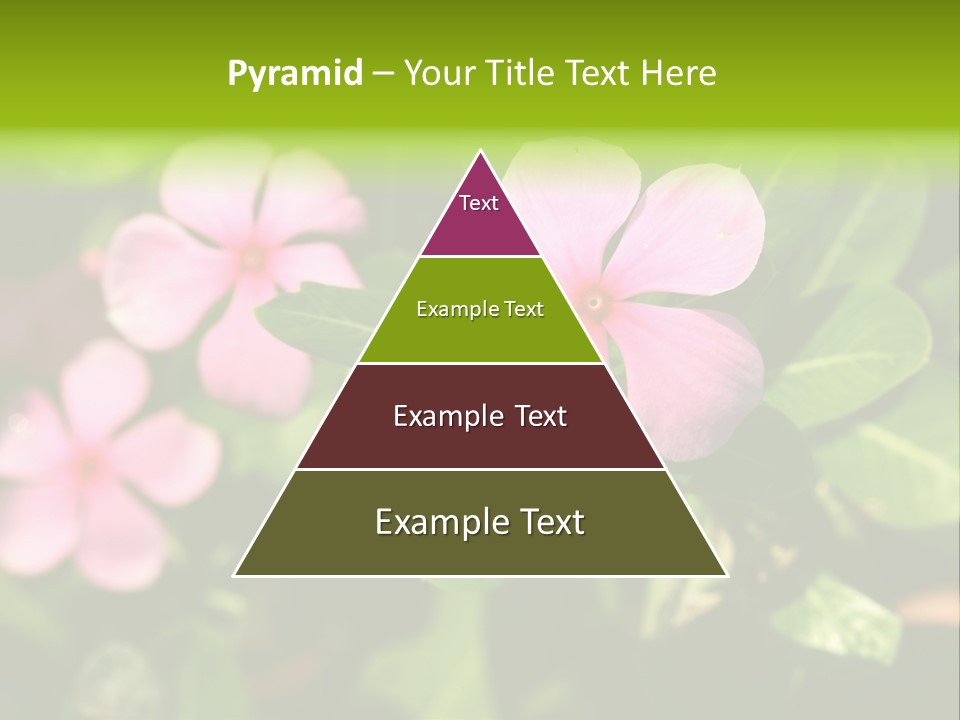 Green Pink Plant PowerPoint Template