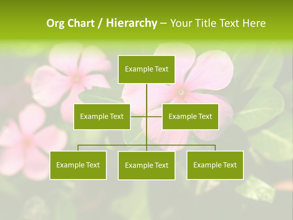 Green Pink Plant PowerPoint Template