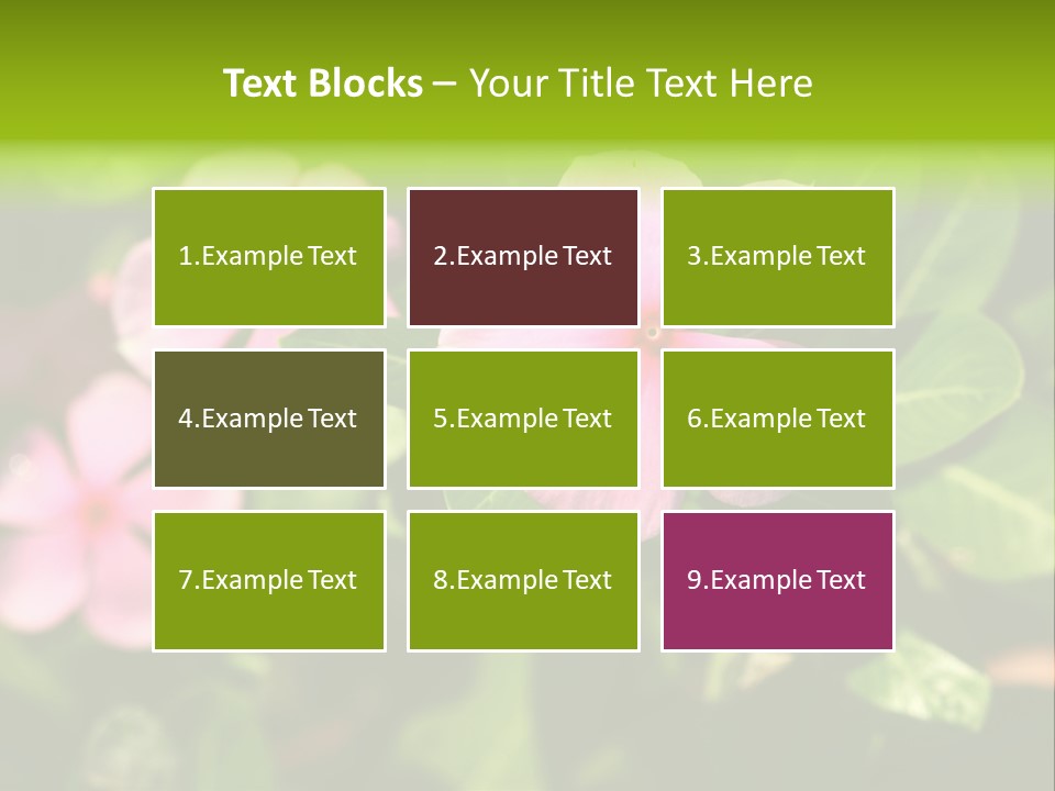 Green Pink Plant PowerPoint Template