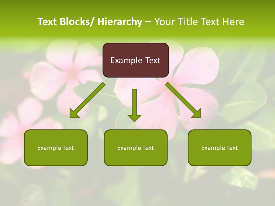 Green Pink Plant PowerPoint Template