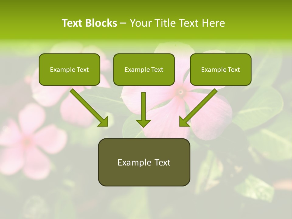 Green Pink Plant PowerPoint Template