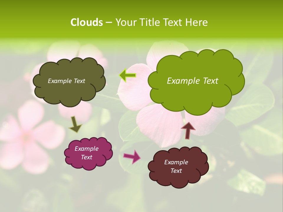Green Pink Plant PowerPoint Template