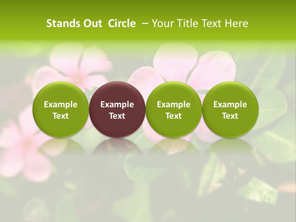 Green Pink Plant PowerPoint Template