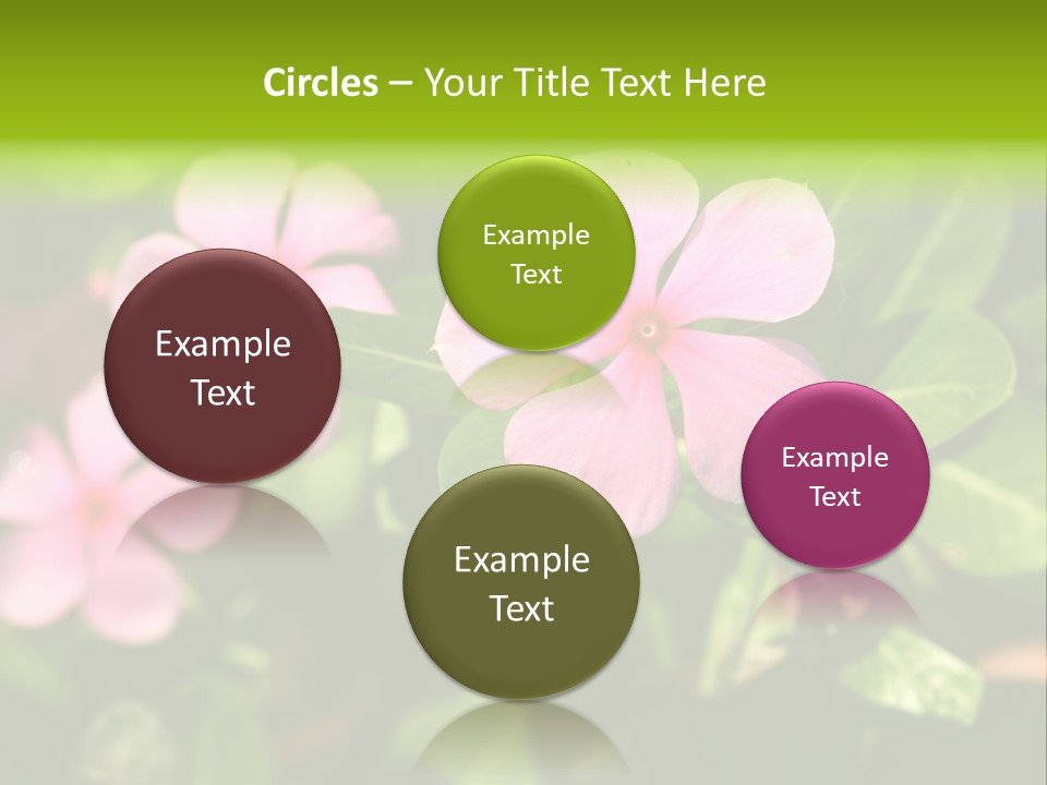Green Pink Plant PowerPoint Template