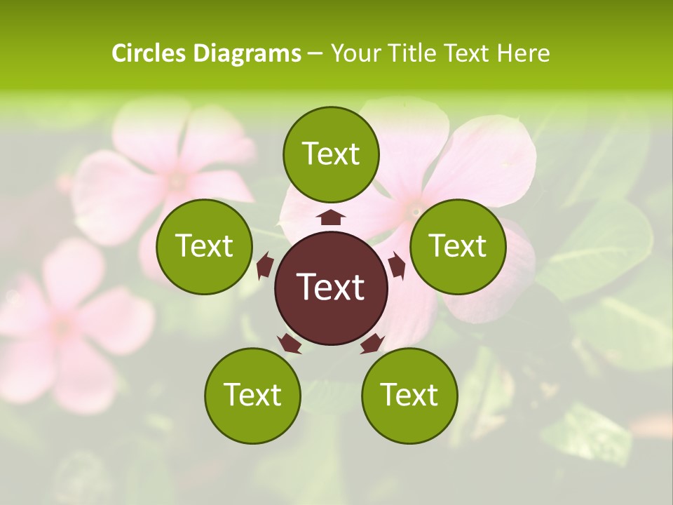 Green Pink Plant PowerPoint Template