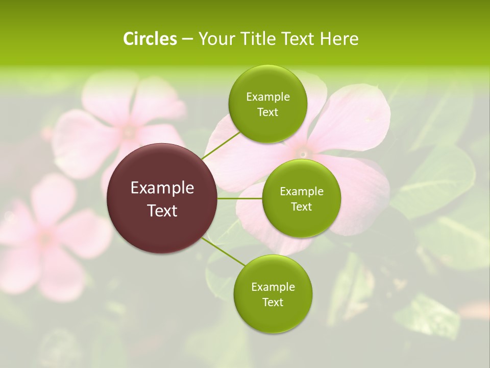 Green Pink Plant PowerPoint Template