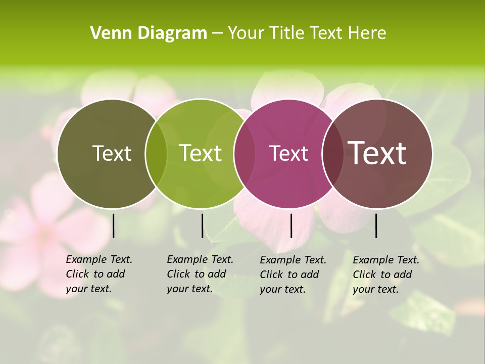 Green Pink Plant PowerPoint Template