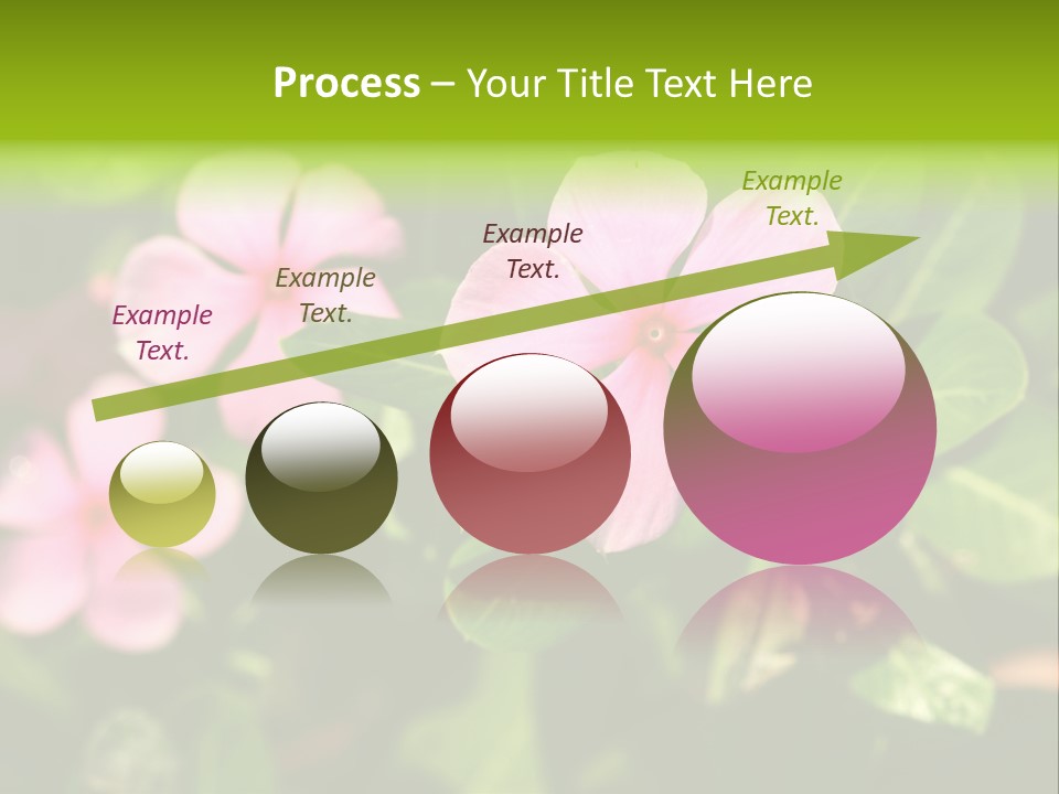 Green Pink Plant PowerPoint Template
