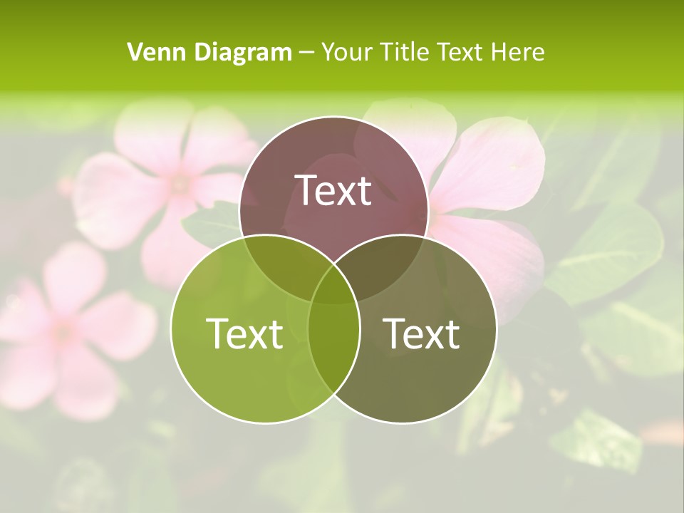 Green Pink Plant PowerPoint Template