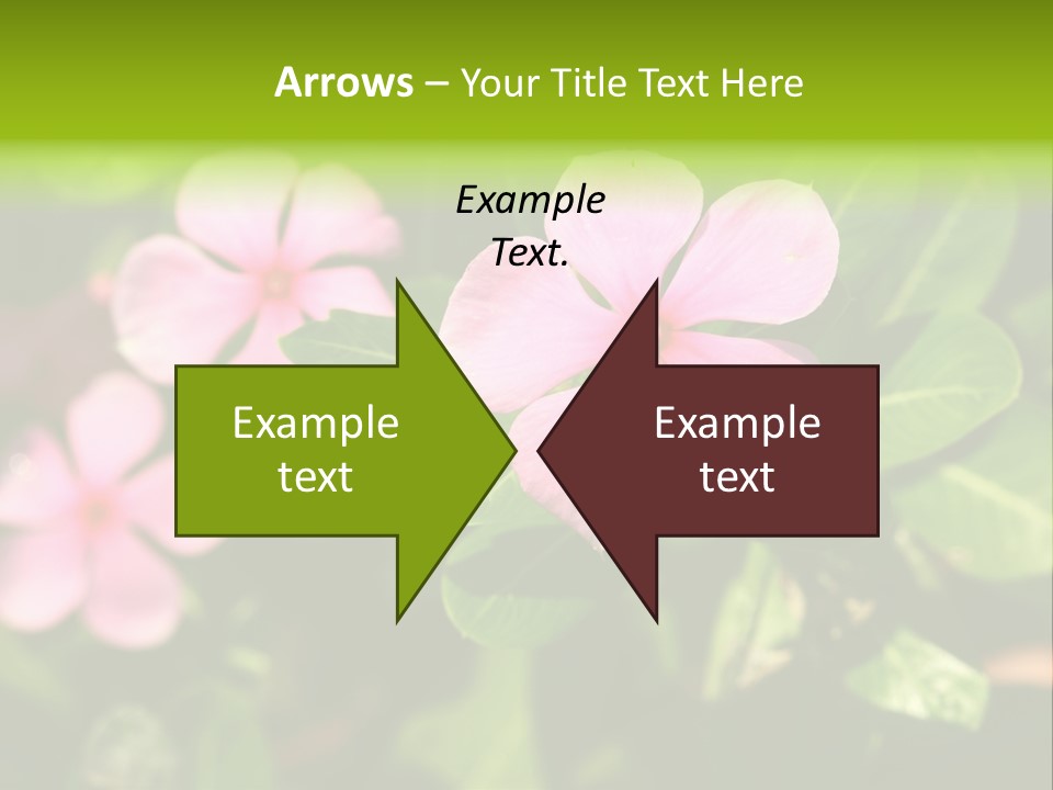 Green Pink Plant PowerPoint Template