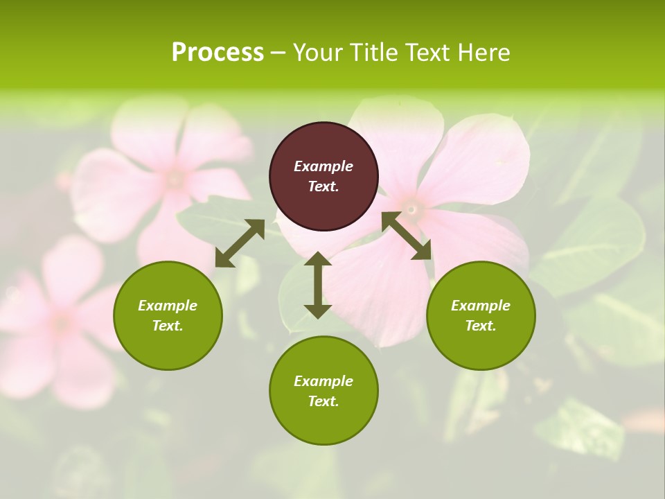 Green Pink Plant PowerPoint Template