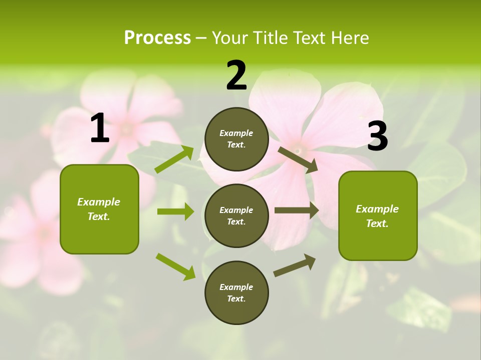 Green Pink Plant PowerPoint Template