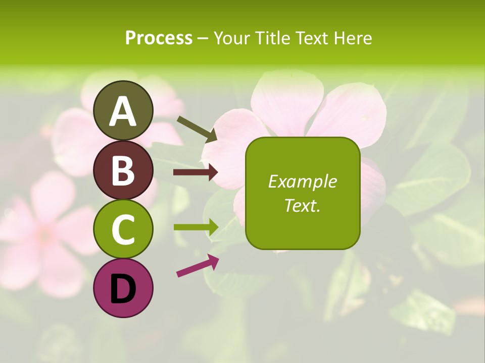 Green Pink Plant PowerPoint Template