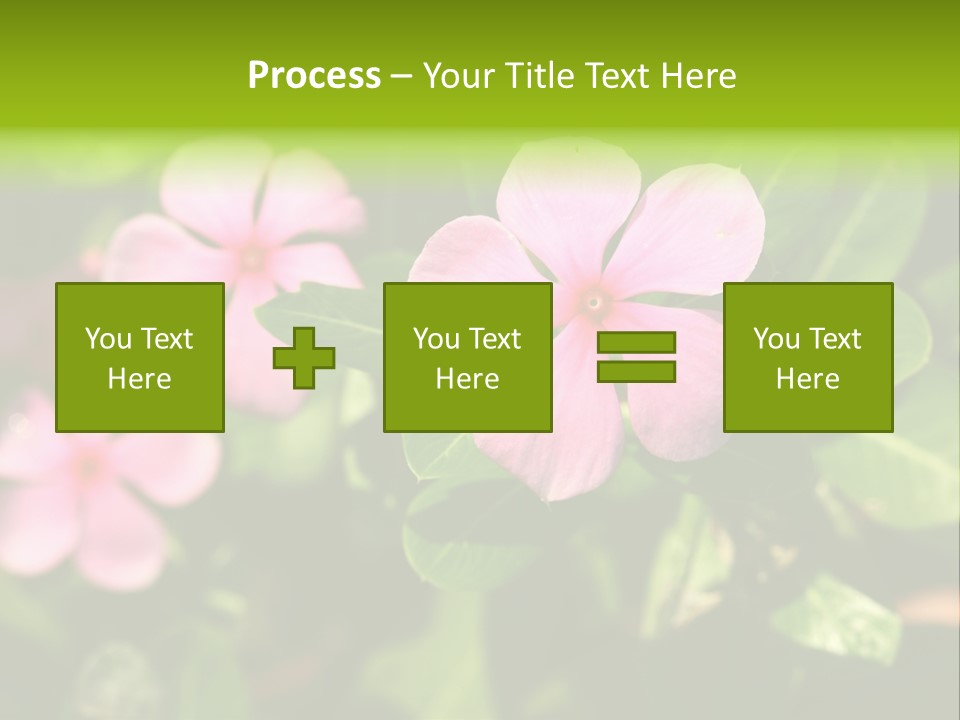 Green Pink Plant PowerPoint Template