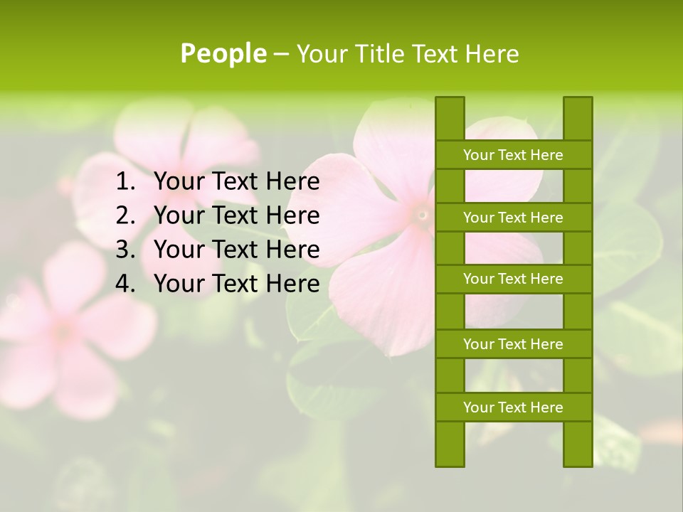 Green Pink Plant PowerPoint Template