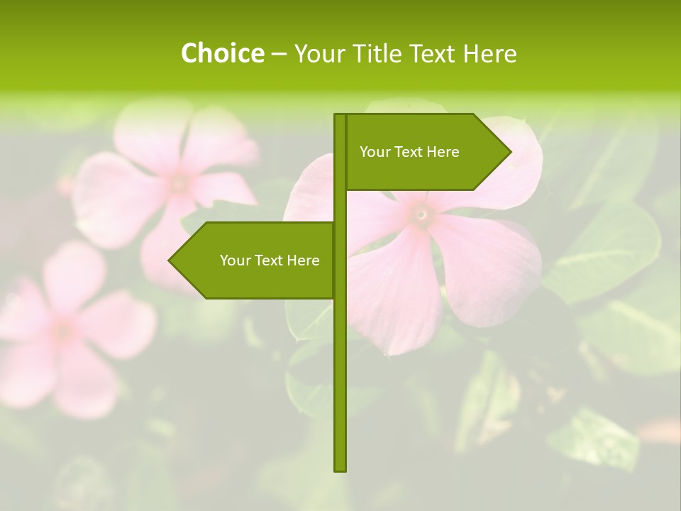 Green Pink Plant PowerPoint Template