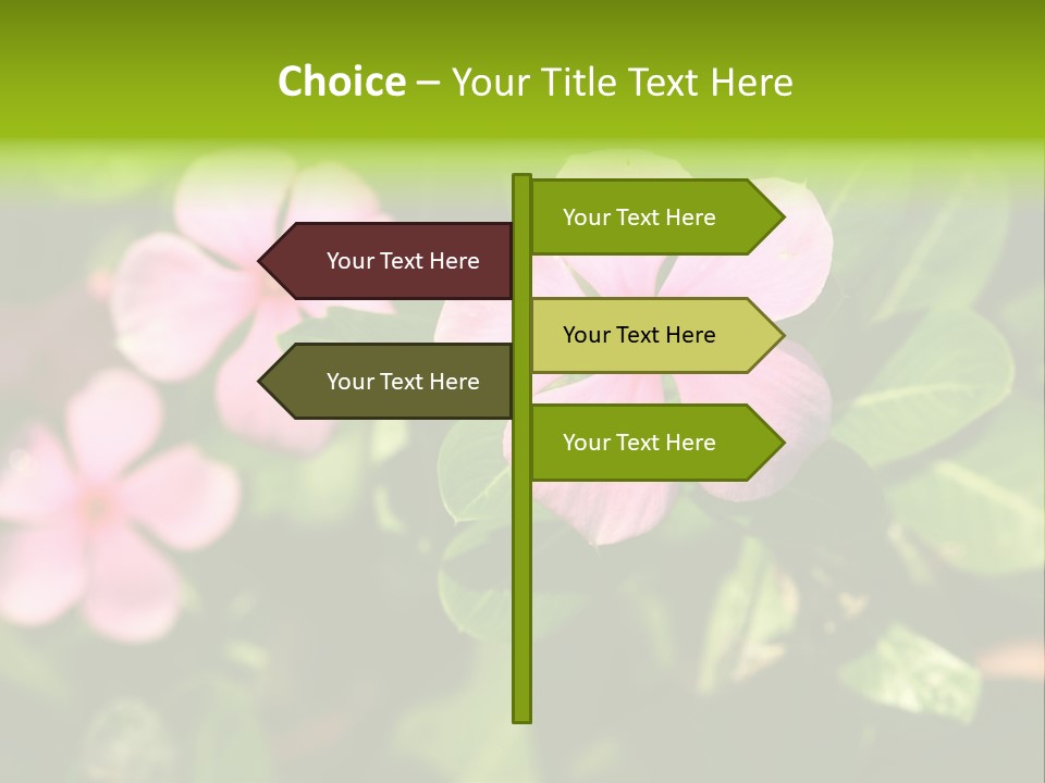 Green Pink Plant PowerPoint Template