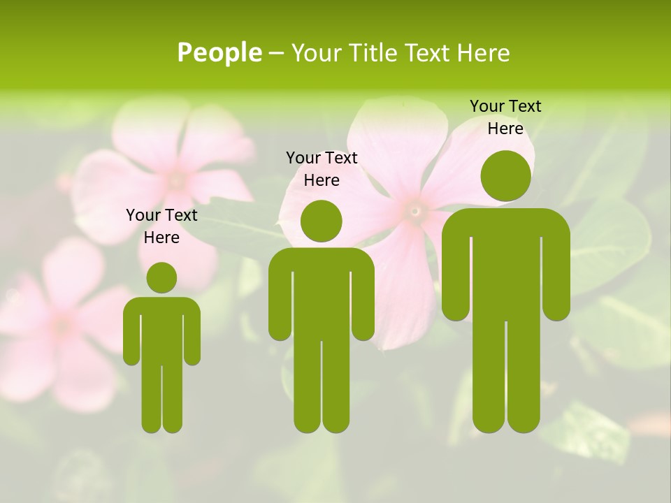 Green Pink Plant PowerPoint Template