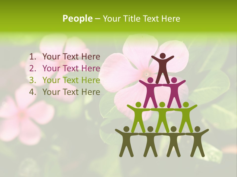Green Pink Plant PowerPoint Template