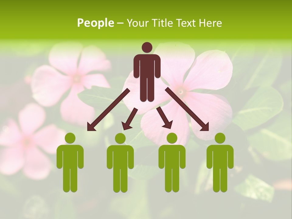 Green Pink Plant PowerPoint Template