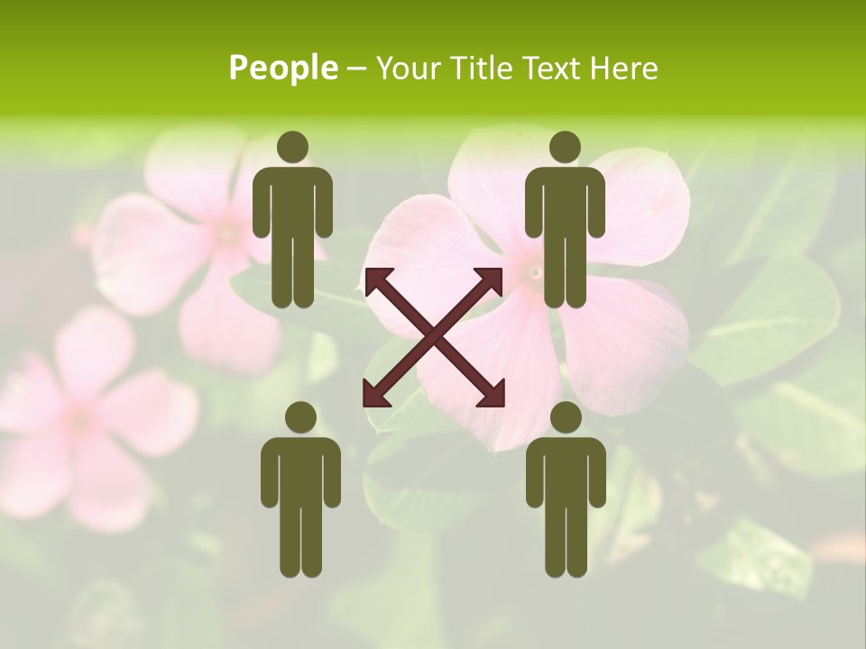 Green Pink Plant PowerPoint Template