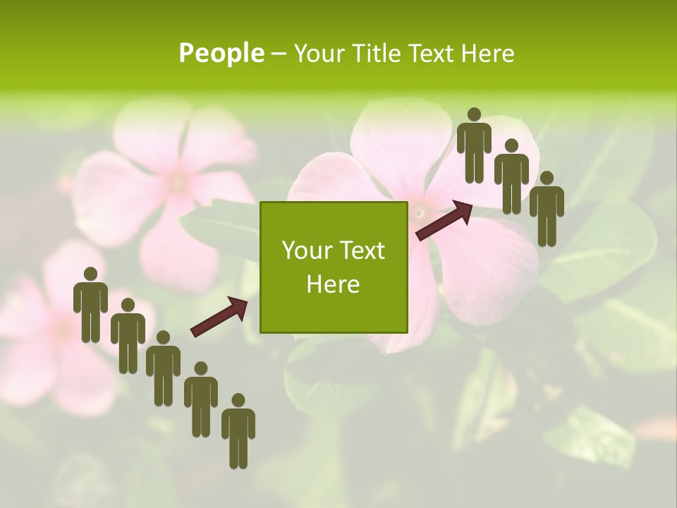 Green Pink Plant PowerPoint Template