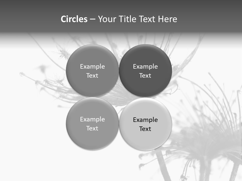 Black And White Light Flower PowerPoint Template