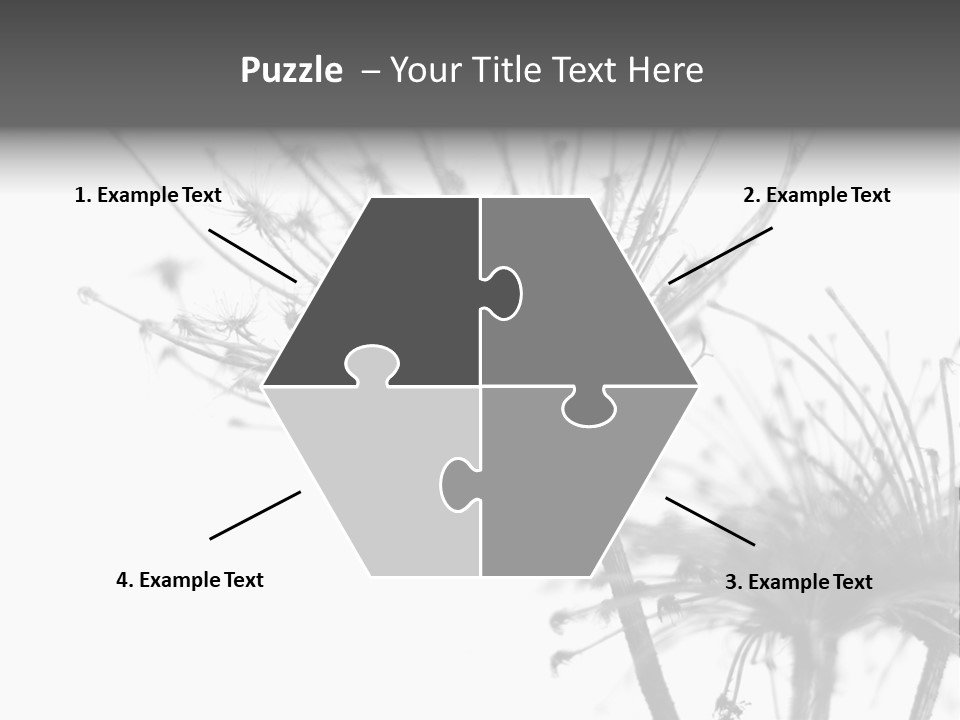 Black And White Light Flower PowerPoint Template