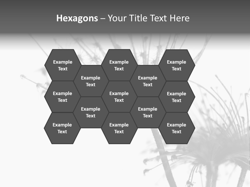 Black And White Light Flower PowerPoint Template